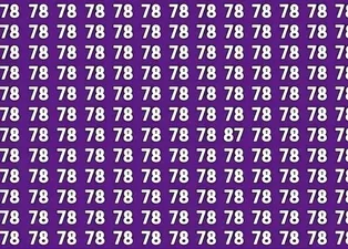 Sadece %1’i başarıyor: 78’lerin arasındaki 87’yi 7 saniyede bul