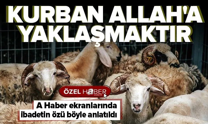 Kurban kesmenin fazileti ne? Kurban kesmenin şartları neler?