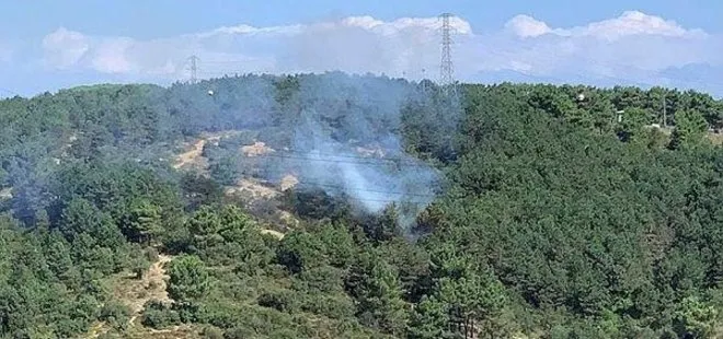 Son dakika: İstanbul Sultangazi’deki orman yangını söndürüldü!