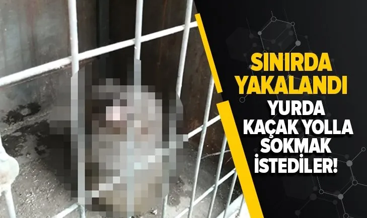 Yurda kaçak yolla sokmak istediler! Sınırda yakalandı
