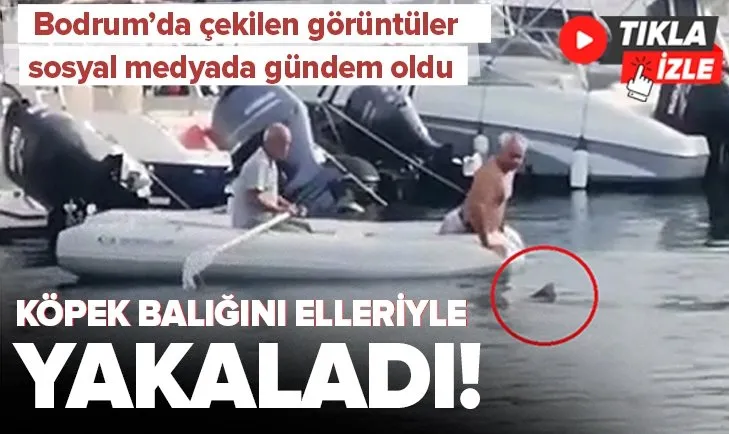Bodrum’da köpek balığını elleriyle yakalayıp kurtardı | Görüntüler sosyal medyada çok konuşuldu