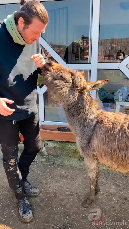 Kıvanç Tatlıtuğ ile Başak Dizer’in altın saçlı oğlu Kurt Efe kime benziyor? Yakışıklı oyuncu açıkladı: Oğlum kesinlikle… 13