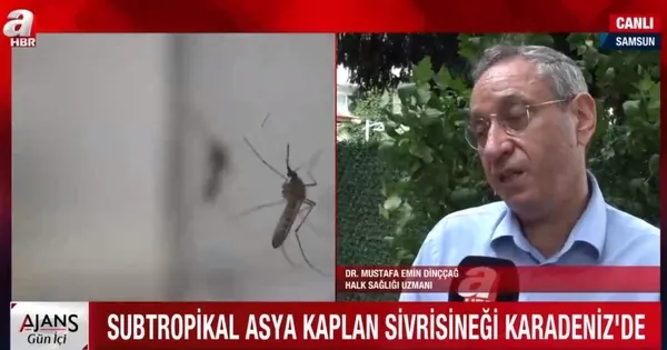 Karadeniz için Asya Kaplan Sivrisineği uyarısı