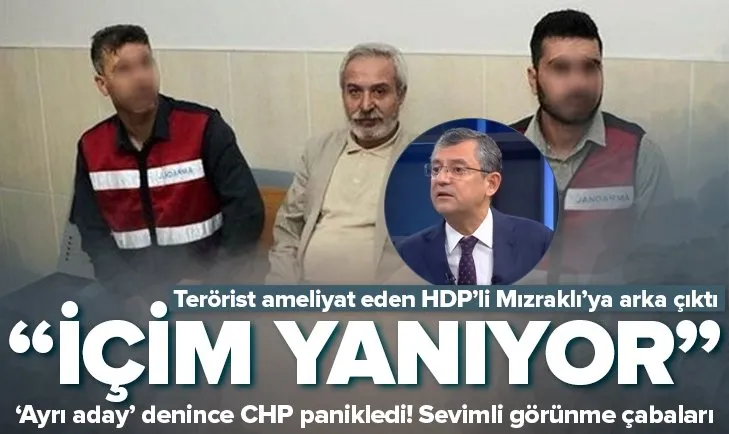Özel HDP’li Mızraklı’ya arka çıktı: İçim yanıyor