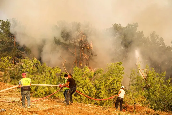 son-dakika-haberi-manavgattaki-yangini-cikaran-16-yasindaki-sahis-tutuklandi-1628009830490.jpg Son dakika haberi: Manavgat'taki yangını çıkaran 16 yaşındaki şahıs tutuklandı - 4