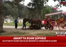 Bolu Valisi o iddiaları canlı yayında yalanladı