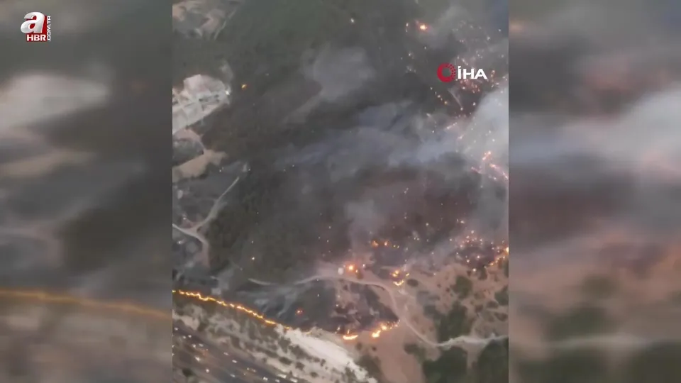 İzmir Buca’da orman yangını