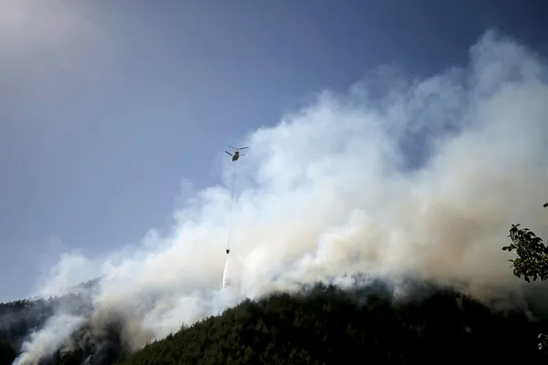 1661699312181.jpg Kahramanmaraş'ta orman yangını! Dulkadiroğlu ve Kısıklı'daki yangınlara müdahale ediliyor - 1