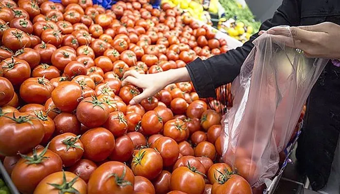 Domates yiyen virüse karşı antikorlu olacak | Özbekistan’da çalışmalar başladı