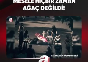 MESELE HİÇBİR ZAMAN AĞAÇ DEĞİLDİ!