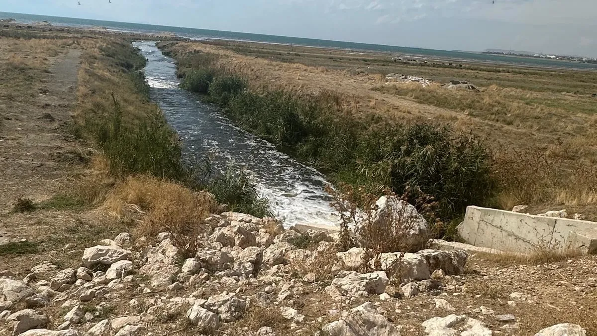 Van Gölü'ne kaçak deşarja ceza! Bakanlık affetmedi
