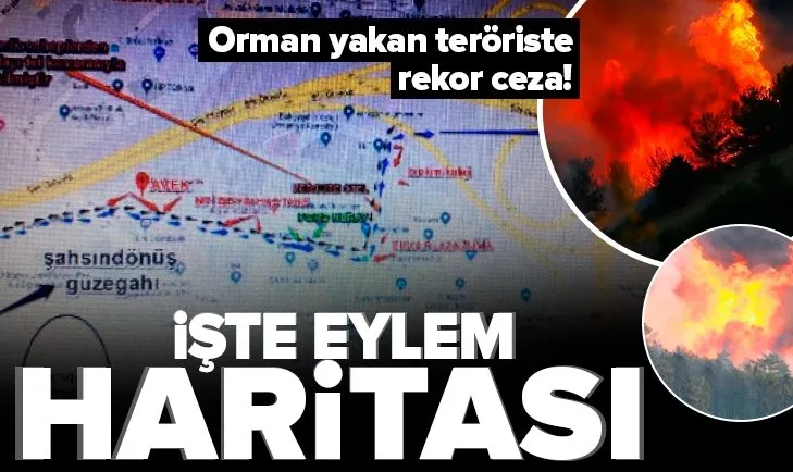 Son dakika: İstanbul&#39;da orman yakan teröriste rekor ceza! İşte eylem planı