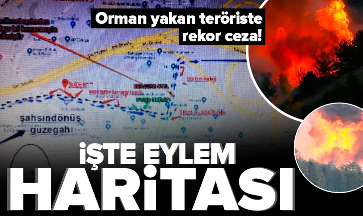 Son dakika: İstanbul'da orman yakan teröriste rekor ceza! İşte eylem planı