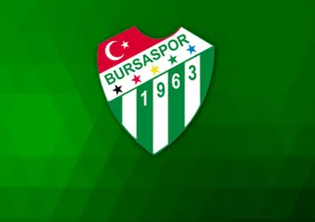 Bursaspor'da istifa depremi