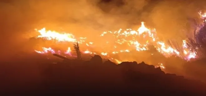 Hatay'da sazlık alanda yangın! Alevler kontrol altında