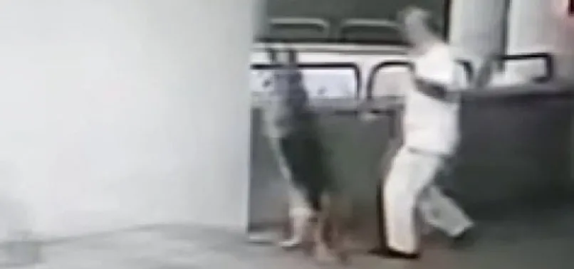Tepki toplayan görüntüler! Kedinin ölümüne yol neden oldu!