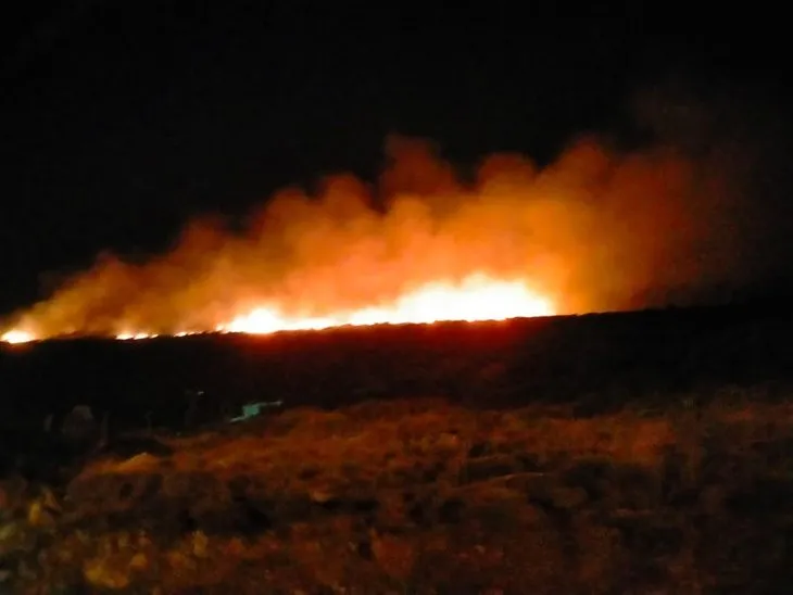 İzmir Çeşme’de Ulusoy Limanı yakınında orman yangını! Bir kişi gözaltında