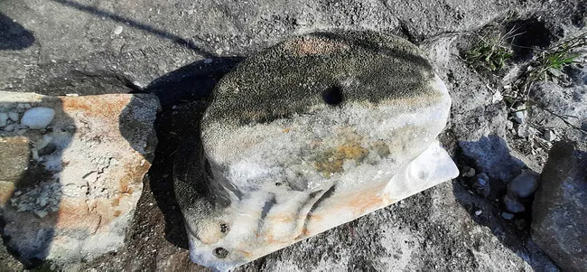 İznik Gölü’nde tarihi eser bulundu