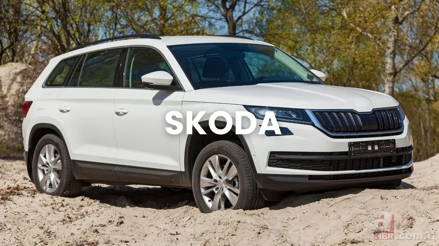 En çok satanları açıklandı! İşte 2025’in tercih edilen araba markaları: BYD, Renault, Hyundai... 4