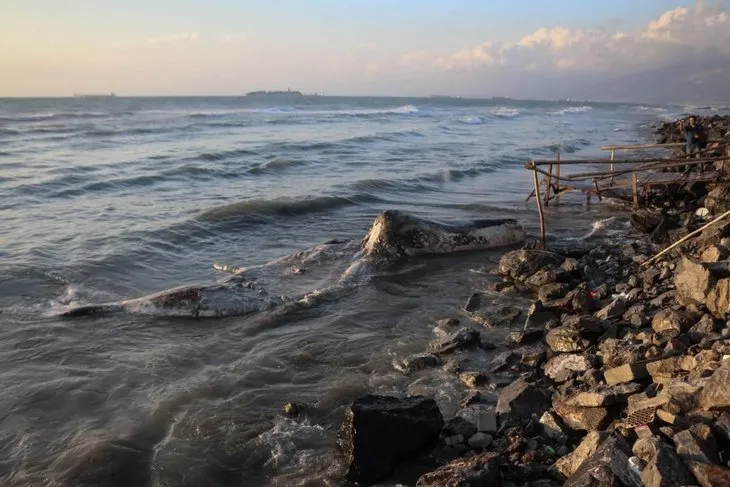 Ölü balina Arsuz’da kıyıya vurdu