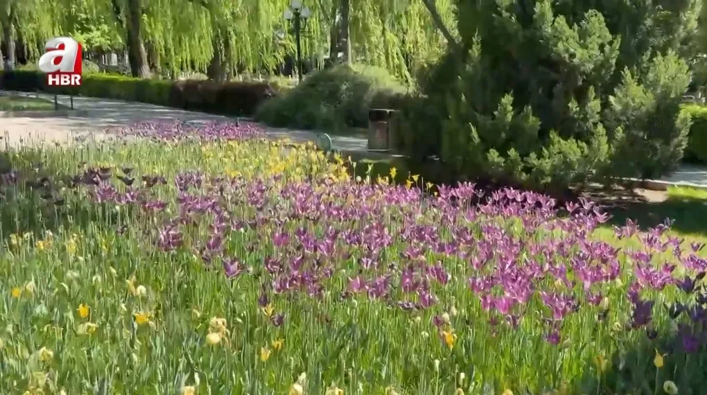 Pekin'de Türk rüzgarı!