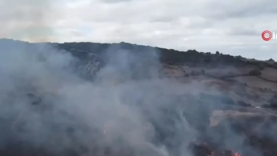 Çanakkale’de orman yangını