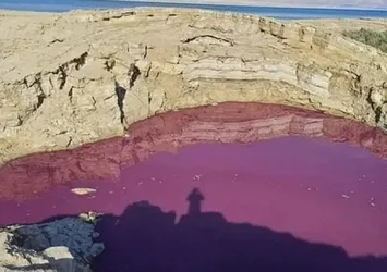 Ölü Deniz'in yanı başında! Son hali ekipleri harekete geçirdi