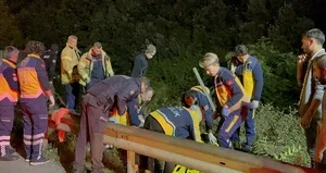 TEM’de kaza! Ağaçlık alana uçtu