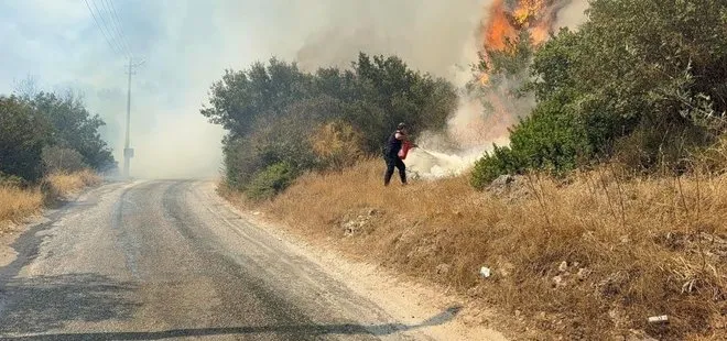 Bodrum’da makilik alanda yangın paniği: "Havadan ve karadan müdahale sürüyor"