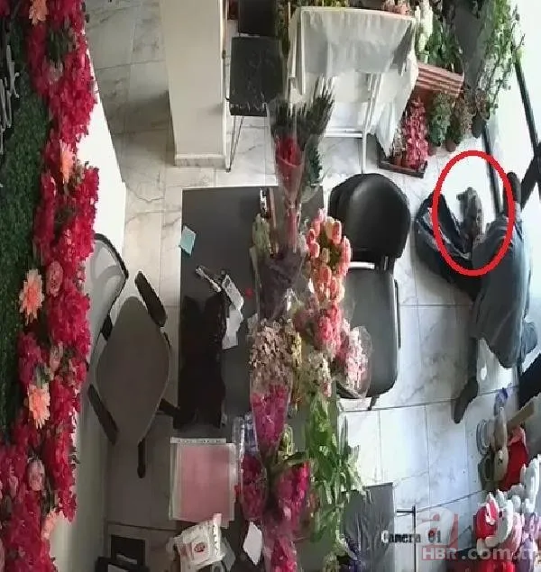 Adana’da çiçekçiye giren hırsız öyle bir şey çaldı ki! Genç kadın şoke oldu