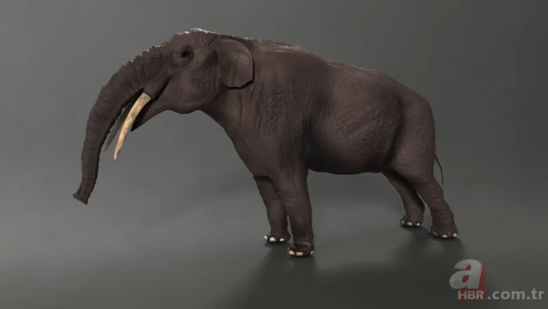 Çoban toprak kayınca keşfetti! Milattan önce 10 bin yılından kalma tatlı bulundu 10