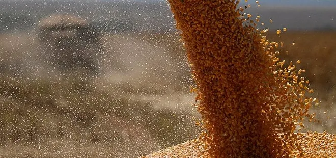 Başkan Recep Tayyip Erdoğan’ın girişimleri dünyaya umut oluyor! Soçi zirvesi sonrası 40 gemiyle Afrika’ya umut taşınacak