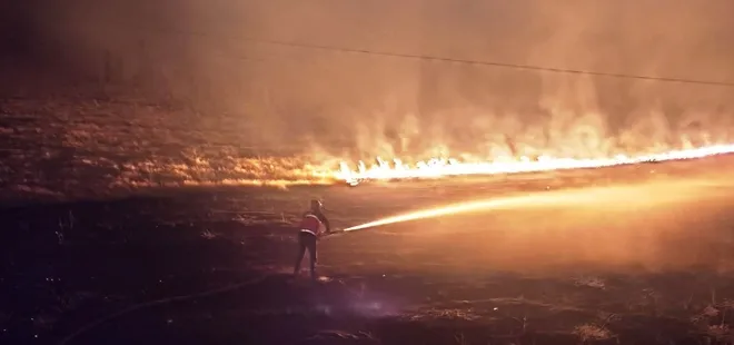 Çaldıran'da anız yangını