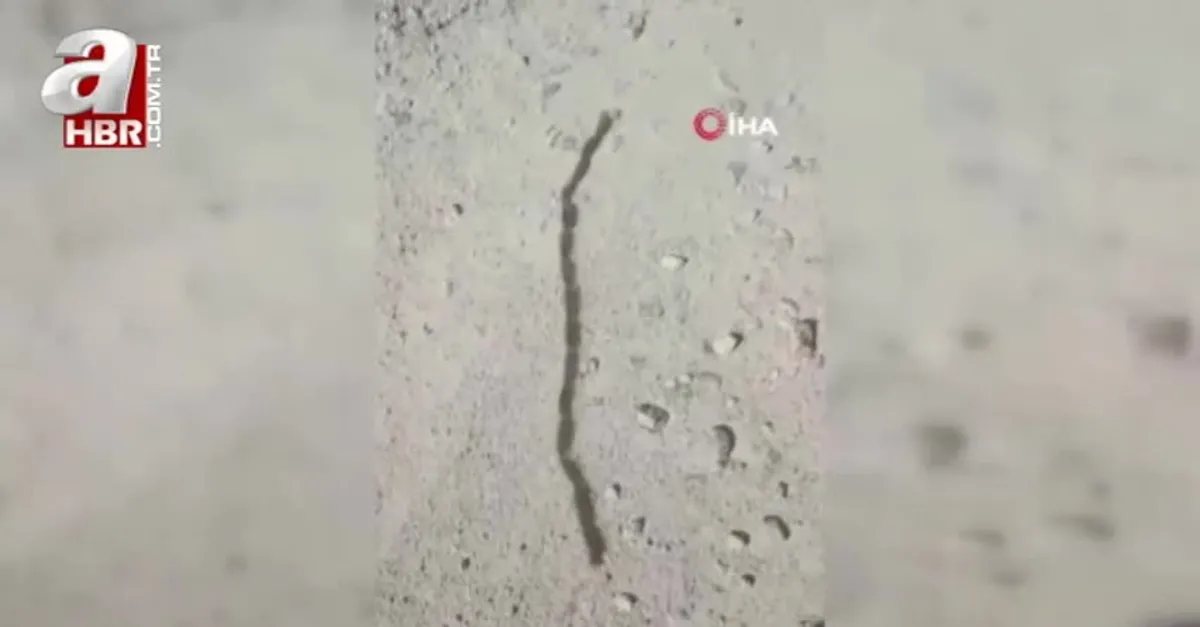 Yılan sandı gerçek çok başka çıktı!