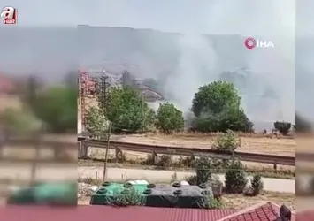 Bolu’da anız yangını korkuttu
