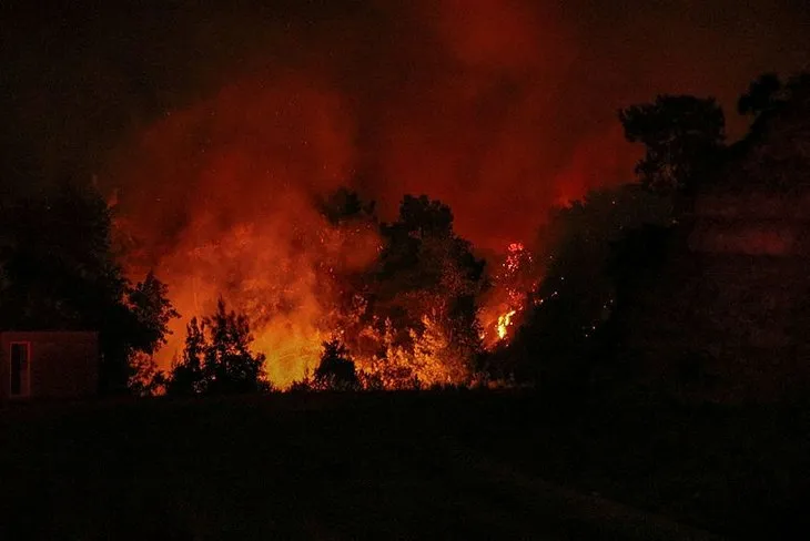 Orman yangınları ciğerlerimizi yaktı! Ünlü isimler sessiz kalmadı