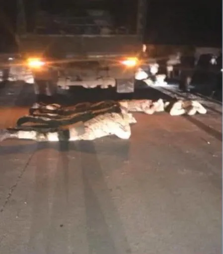 Rusya'nın Ukrayna işgalinde son durum! Bölgede tansiyon çok yüksek! İşte dakika dakika Rusya - Ukrayna krizi... - 4