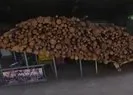 Avrupa’da odun krizi!