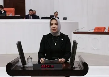 AK Partili vekilden flaş göç açıklaması