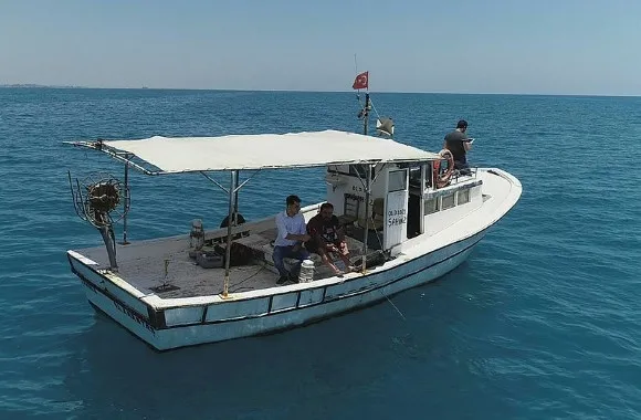 Akdeniz'i istila eden balon balıkları, tatilcileri de korkutuyor - 4