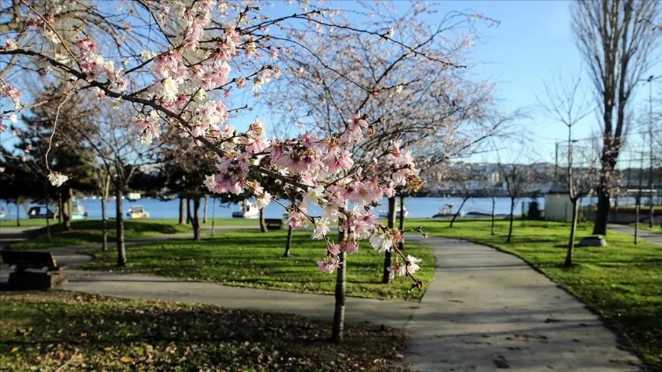 Yalancı bahara dikkat!