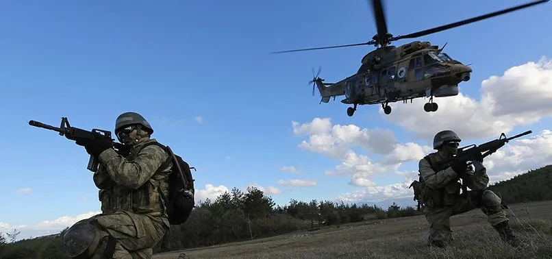 PKK'ya Şırnak'ta ağır darbe! Sözde yöneticisi sağ yakalandı