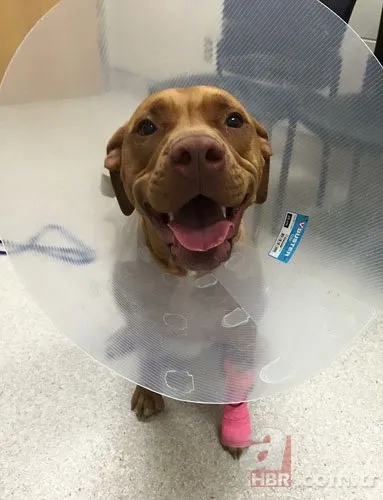 Onları görenler şaştı kaldı! 17