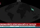 Koronavirüs dünyaya böyle yayıldı! İşte dünya haritasında virüsün yayılma görüntüsü |Video