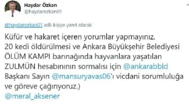 Ankara’da belediye bakımevinde ’20 kediye ötanazi’ yapıldı! Personelin iş akdi sonlandırıldı