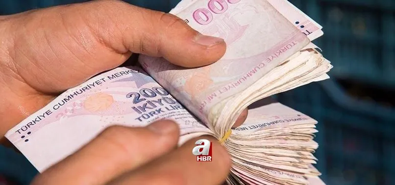 Iskur Nakdi Ucret Destegi Ne Zaman Yatacak Nakdi Ucret Destegi Uzatildi Mi Sorgulama Ekrani