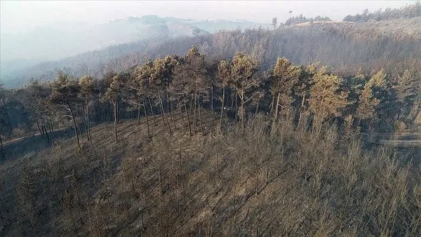 Tarım ve Orman Bakanlığı 1200 personel alacak! Personel alımı ne zaman, başvuru şartları neler?