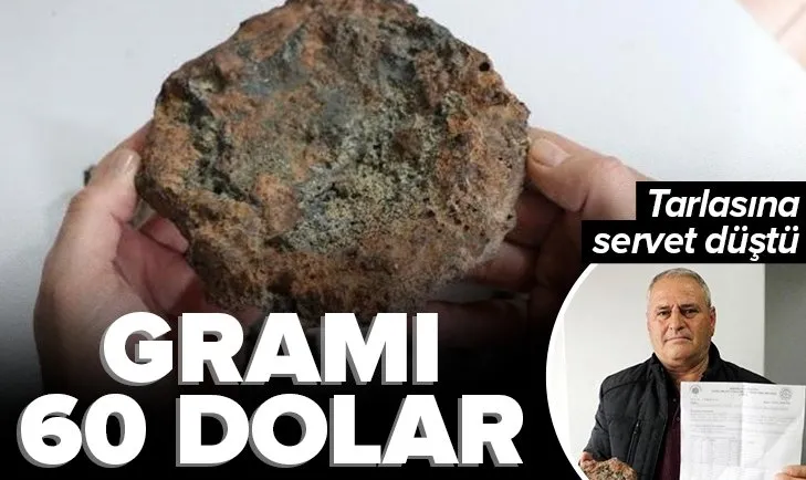 Tarlasına servet düştü! Gramı 60 dolar