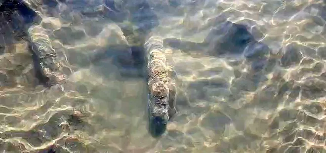Tarihi sütunlar gün yüzüne çıktı