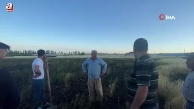 Adilcevaz’da tarla yangını paniği